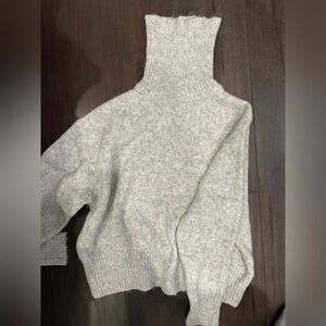 Zara Turtleneck Sweater